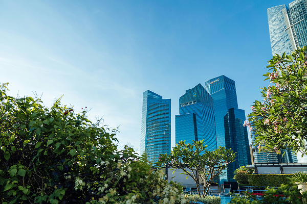 ESG Reporting Dashboard